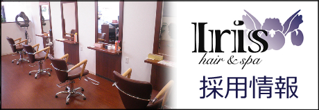 Iris採用情報